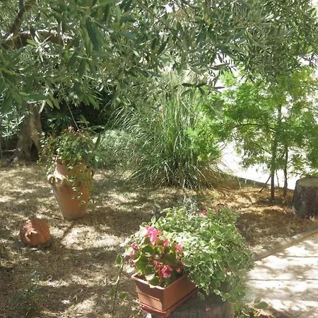 Apartament Studio In With Balcony, Air Condition, Wifi *